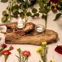 Kerzenhalter aus Bodenseetreibholz – Naturbelassen, mit Kerzenbohrungen & dekorativen Glaskerzenhaltern