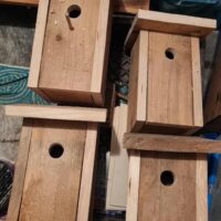 Nistkasten Natur / &Ouml;ko / Naturbelassen / Unbehandelt / f&uuml;r V&ouml;gel im Garten und Wald / Verschiedene Optionen